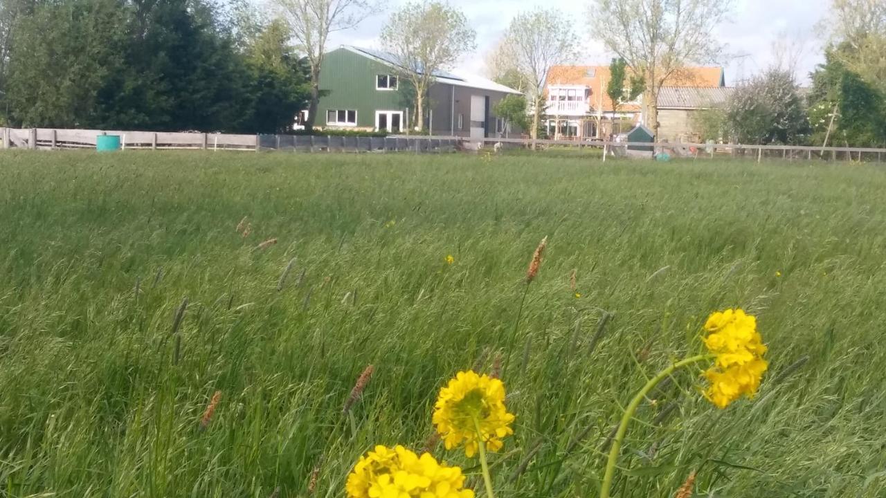 Boerenskuur De Bedstee Groen Assendelft エクステリア 写真